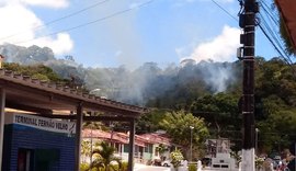 Bombeiros recebem sete chamadas para combater fogo em mata de Fernão Velho