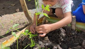 Criação de horta estimula aprendizagem de alunos de creche na Pitanguinha