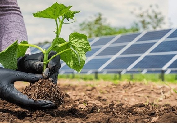 Alagoas representa 1,2% da energia instalada no Brasil e está em franco crescimento