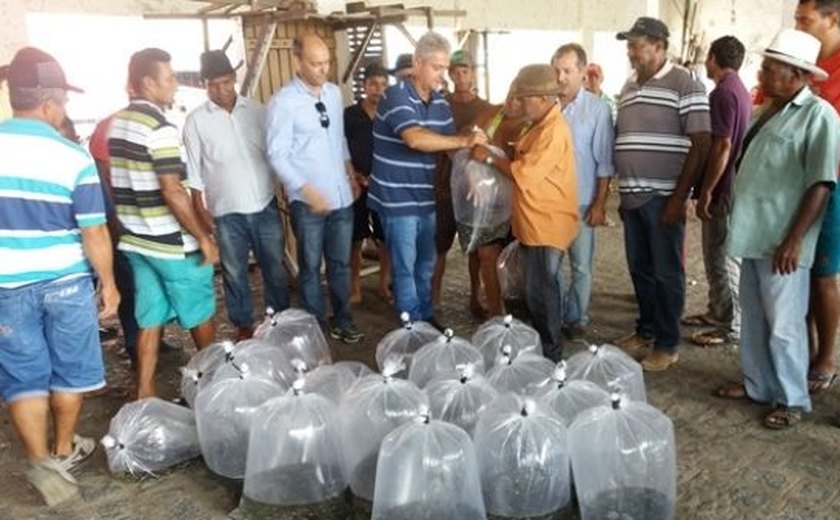 Seagri distribui alevinos de tilápia a agricultores familiares alagoanos