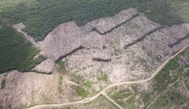 FPI embarga 1.025 hectares de terra em Alagoas por desmatamento de vegetação nativa