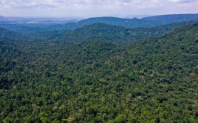 Fundo da Amazônia é tema de encontro do Sistema OCB com o BNDES