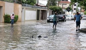 Chuva causa queda de árvores, alagamentos e deslizamento de barreiras