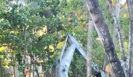 Braskem desmata área de manguezal às margens da Lagoa Mundaú