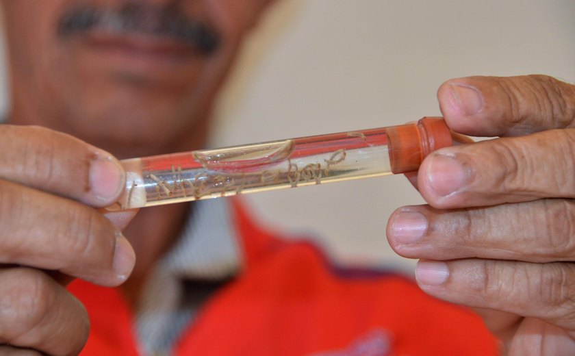 Sesau alerta mais uma vez sobre medidas de prevenção contra a dengue