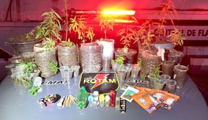 Homem é preso por cultivar 37 pés de maconha em Satuba