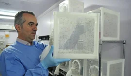 Brasileiro criador do 'Aedes' que bloqueia dengue é eleito pela Nature