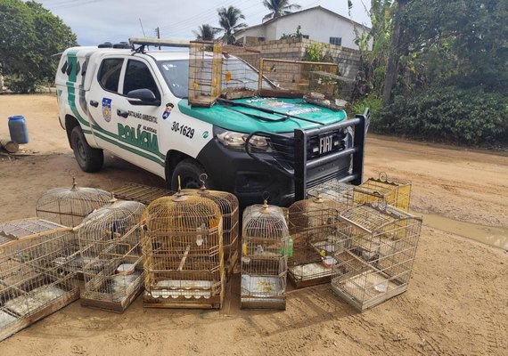 Operação Onda Verde da PM apreende aves silvestres e arma de fogo no interior