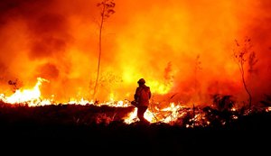 França se prepara para recordes de calor e incêndios florestais
