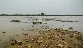 Rio Paraguai registra mínima histórica em ano mais seco no Pantanal