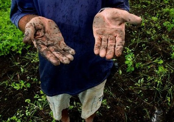 MPT participa de operações conjuntas que resgataram 1.671 pessoas da escravidão em 2021