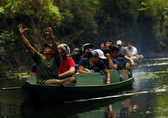 Amazônia: gigante bioma verde que incentiva o turismo de natureza pelo Brasil