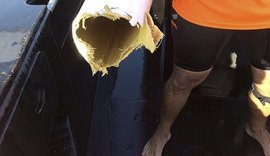 Australiano escapa ileso após tubarão arrancar pedaço de caiaque