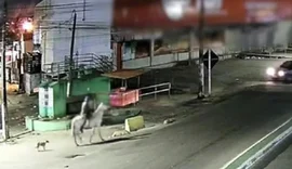 Homem é preso por feminicídio em Igarassu após flagrado com vítima morta em cima de cavalo