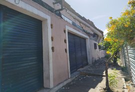 Vídeo: teto do Mercado de Jaraguá desaba durante obras de requalificação, mas não deixa feridos