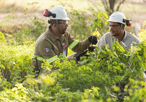 Dia da Caatinga: MVV aumenta área de reserva preservada para 770 campos de futebol