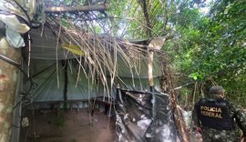 Polícia Federal e PM de Alagoas destroem 2,8 mil pés de maconha