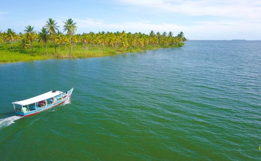 Desmatamento ameaça bacia do Rio São Francisco