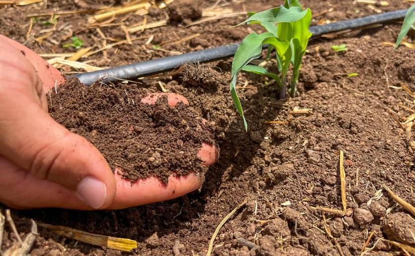 Alagoas foi o primeiro estado do Nordeste a lançar Plano de Agricultura de Baixo Carbono