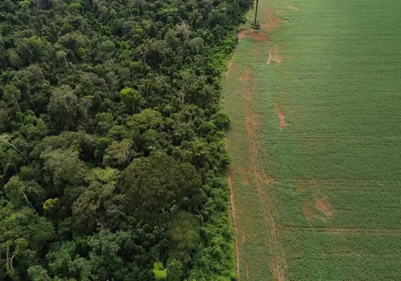 Brasil apresenta soluções de financiamento climático em Nova York