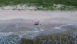 Corpo é encontrado por pedestre na faixa de areia da Praia da Avenida