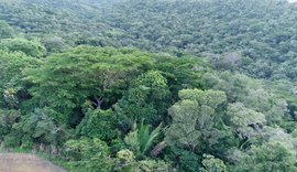 Em Rio Largo, homem de 30 anos é morto com 12 tiros na Mata do Rolo