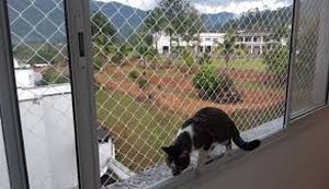 Morador pode instalar rede de proteção? Entenda o que diz a lei em Alagoas