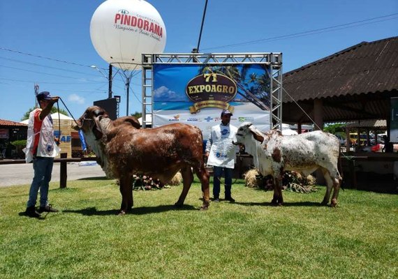 Expoagro 2021 fatura R$ 20 milhões e bate recorde