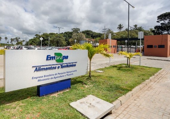 Nova infraestrutura amplia capacidade de pesquisa da Embrapa Alimentos e Territórios