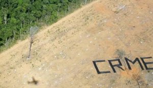 Tribunal Penal Internacional reconhece 'ecocídio' como crime contra a Humanidade