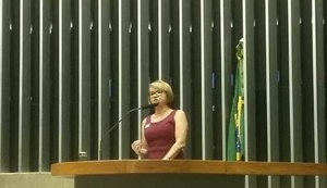 Sinteal participa de Audiência Pública no Congresso Nacional