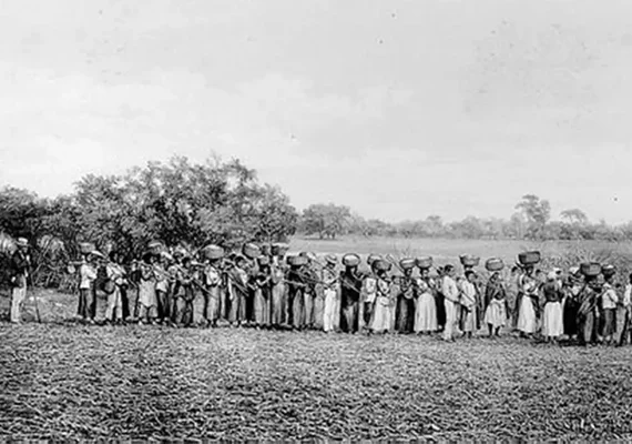 Maioria de empresários que apoiou ditadura vem de famílias escravistas