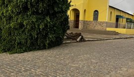 Temporal volta a atingir Arapiraca e provoca alagamentos e quedas de estruturas