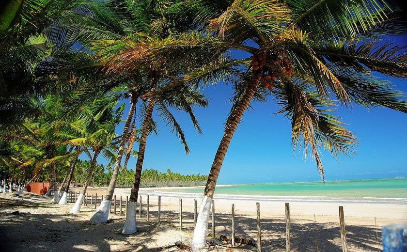 Praias: línguas sujas afetam turismo em Alagoas