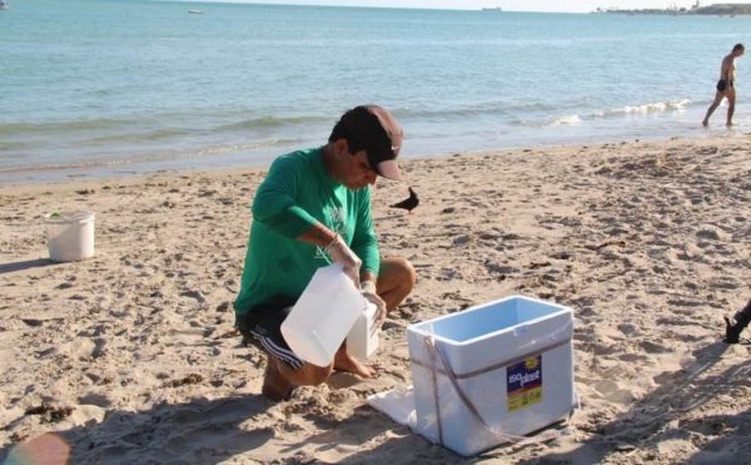 IMA e Ufal coletam amostras na costa de AL para avaliar qualidade das praias e do pescado
