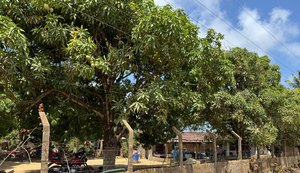 Prova técnica de campo reacende esperança da Família Vieira e pode selar posse de terras em Riacho Doce