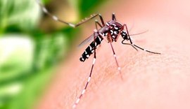 Dengue faz três estados e DF decretarem situação de emergência