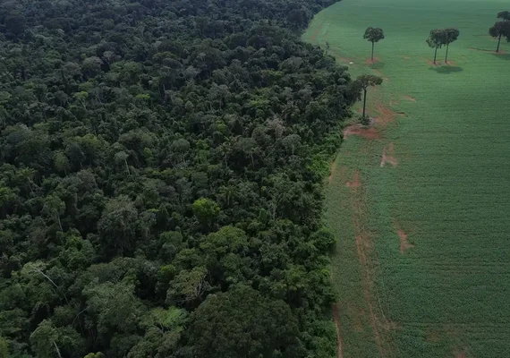 Financiamento climático é responsabilidade de países ricos