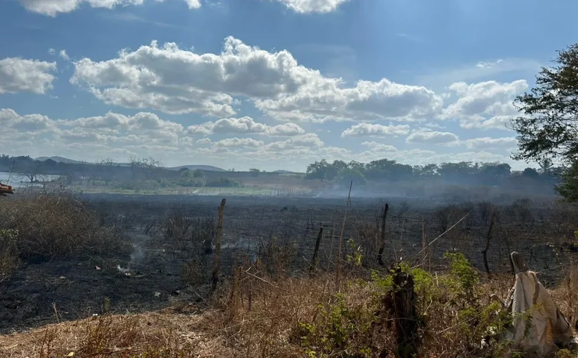 Homem coloca fogo em um pouco de mato e chamas se alastram em área de vegetação