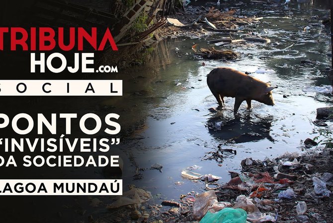 TH Social - Pontos 'invisíveis' da sociedade