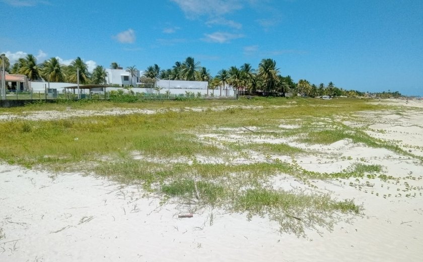 Praias com potencial turístico já sofrem com avanço do mar em Alagoas