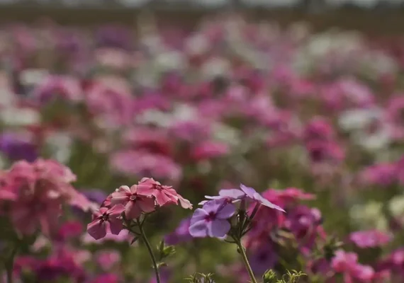 Primavera começa com chegada de frente fria, temporais e fortes ventos