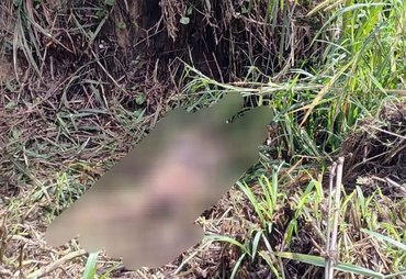 Corpo em avançado estado de decomposição é encontrado no Pilar