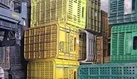 Ideral reforça segurança no Ceasa após furto contra comerciantes