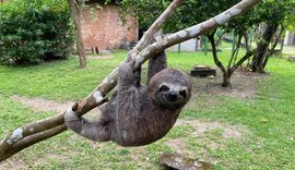 Do resgate à liberdade: o balanço do trabalho do Cetas em 2025