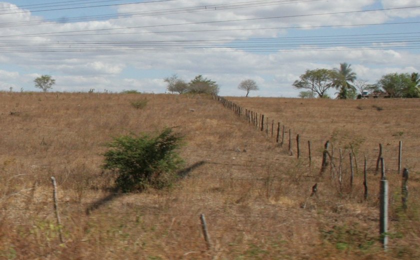 Governo Federal reconhece situação de emergência por estiagem em cinco municípios de Alagoas