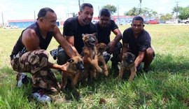 Secretaria fortalece parceria com PM para treinar cães farejadores