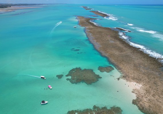 Vídeo: piscinas naturais de Japaratinga são principais atrações turísticas da região