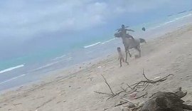 Criança é atropelada por cavalo enquanto brincava na praia de Pajuçara