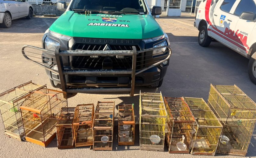 Operações apreendem armas de fogo e centenas de animais silvestres